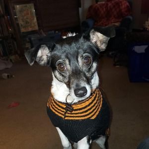 Meet your Posher, Colleen